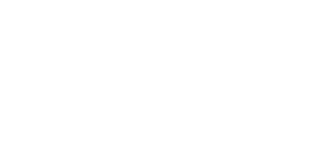 Voice Pro